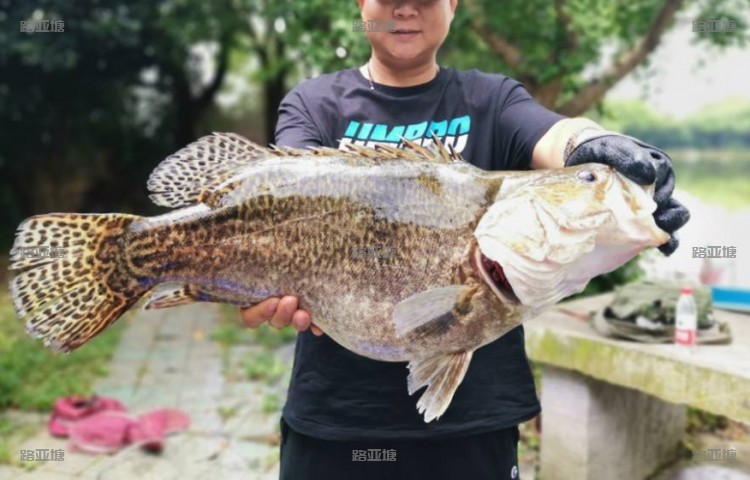 嘉兴隐愚野路亚俱乐部