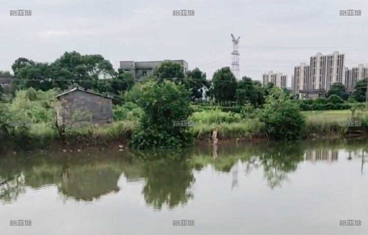 湘潭神塘生态垂钓基地