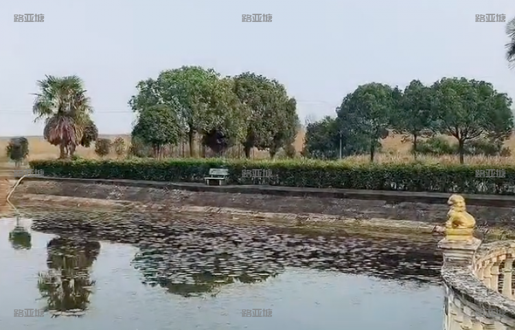 宣城竹鹿路亚基地