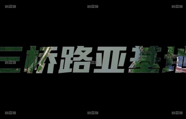 杭州三桥路亚