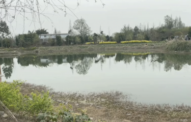 成都北星水韵路亚基地
