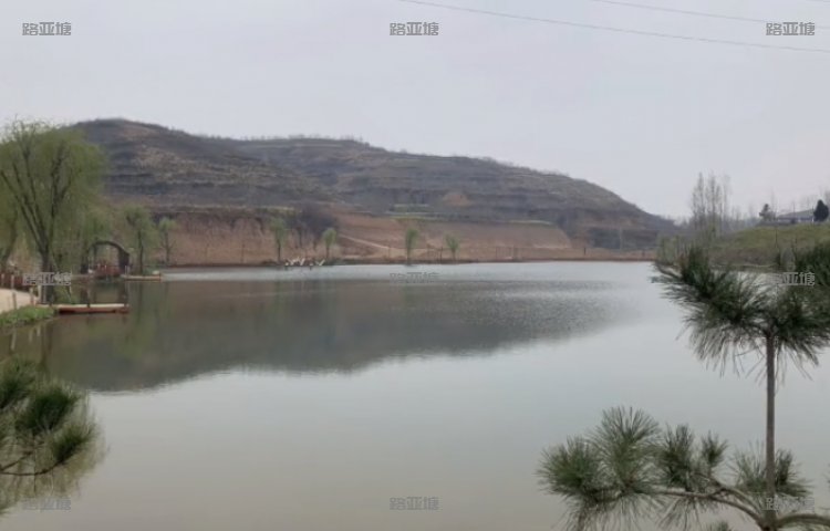 洛阳见鹤湖路亚基地