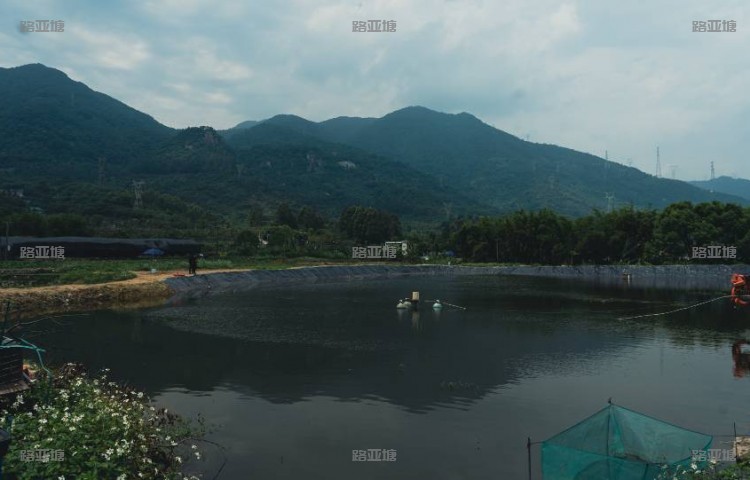 厦门蓝山路亚基地