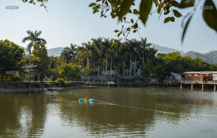 厦门竺缘路亚训练营