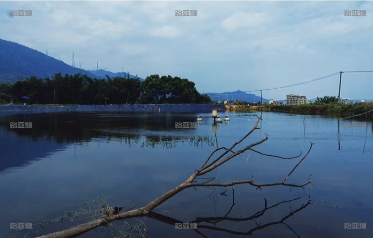 厦门小搞蓝山路亚基地