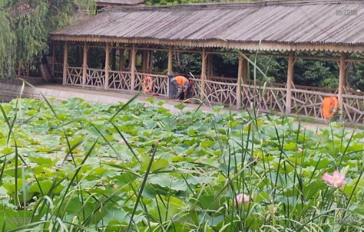 北京皇家路亚钓场