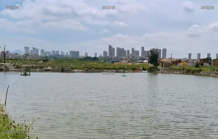 厦门星期八海钓基地