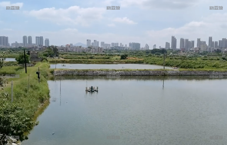 厦门星期八海钓基地