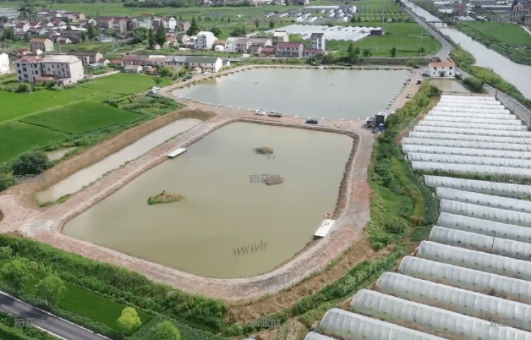 上海南上海路亚