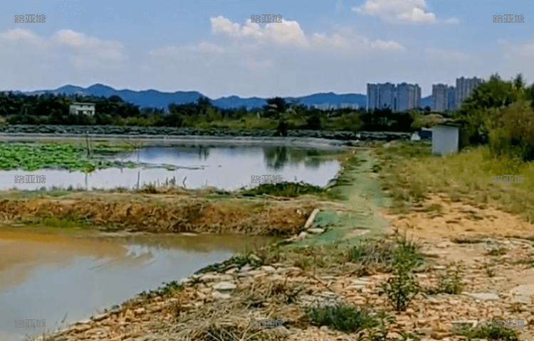 成都阳光路亚基地