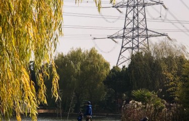 上海宝芝田生态园