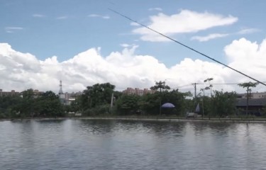 佛山金沙岛路亚基地