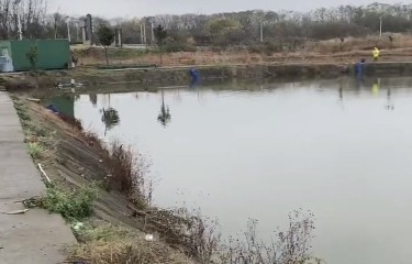 南京谷里顺飞路亚大货钓场