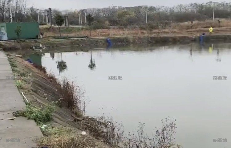 南京谷里顺飞路亚大货钓场