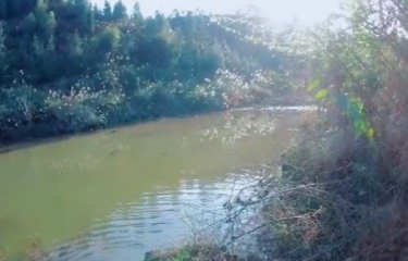 乐山杨坪路亚基地