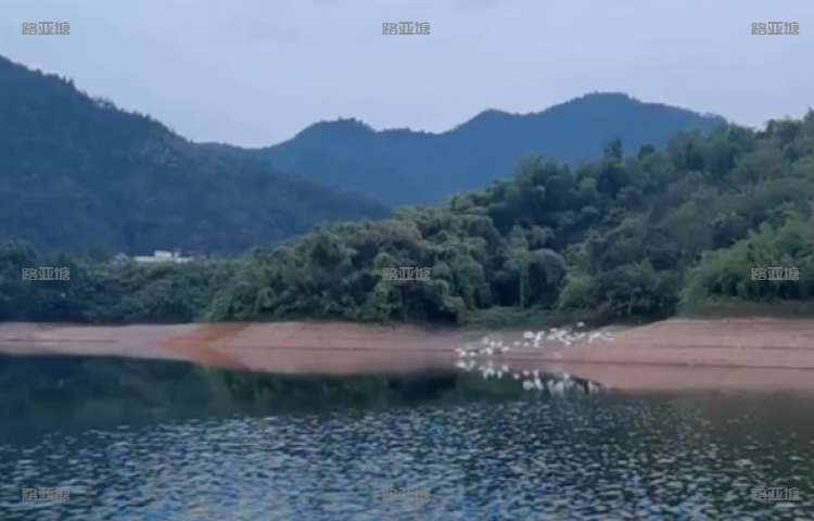 杭州拓野路亚基地