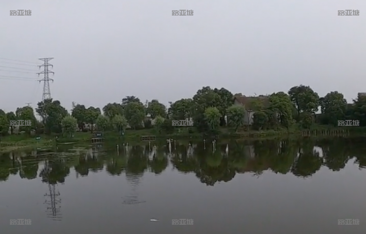 石门湾四季果园