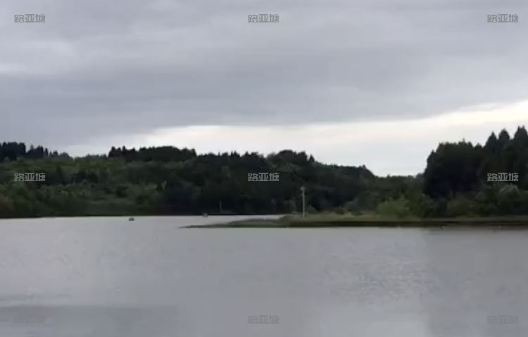 绵阳万和生态路亚垂钓基地
