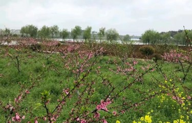 南京小梁营水库路亚钓场