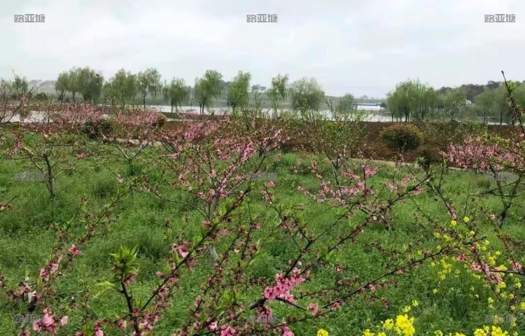 南京小梁营水库路亚钓场
