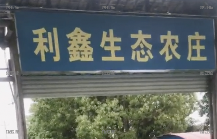 泰州路亚基地