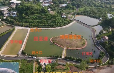 重庆渝娱渔路亚垂钓基地