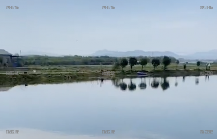 绍兴顶顶路亚基地