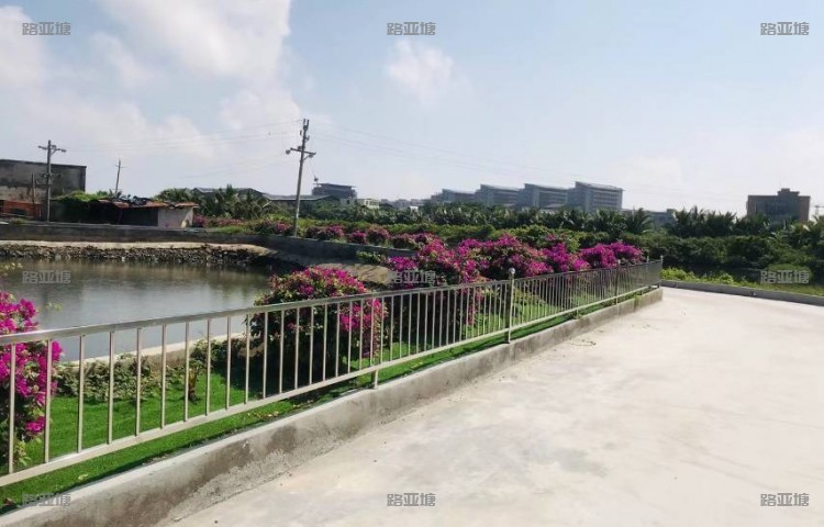 海口飞龙海钓会