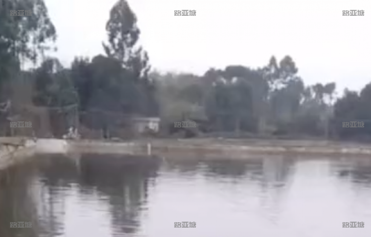成都津东路亚