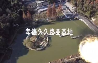 绍兴孝德久久路亚基地