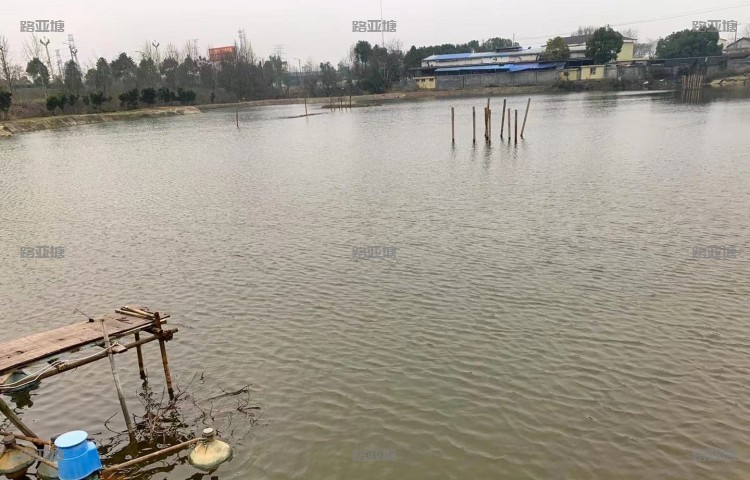 常德可乐路亚基地