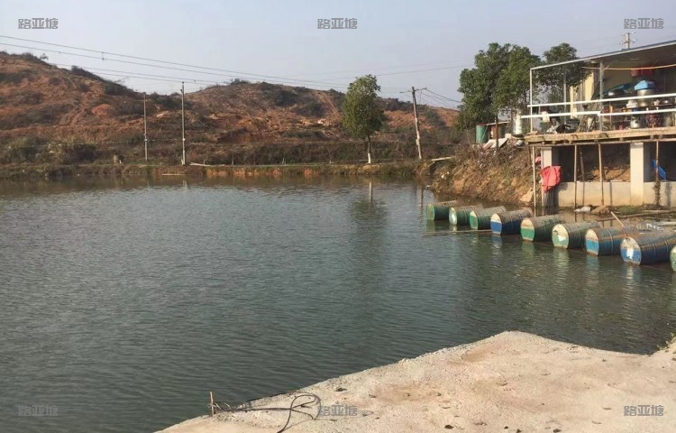 湘潭胡肖塘路亚基地