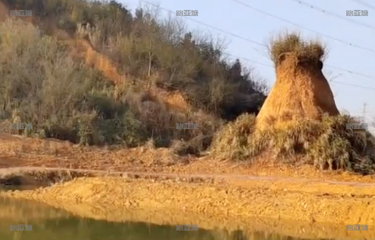岳阳擂鼓台钓场