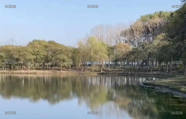 上海浦东友间鱼塘