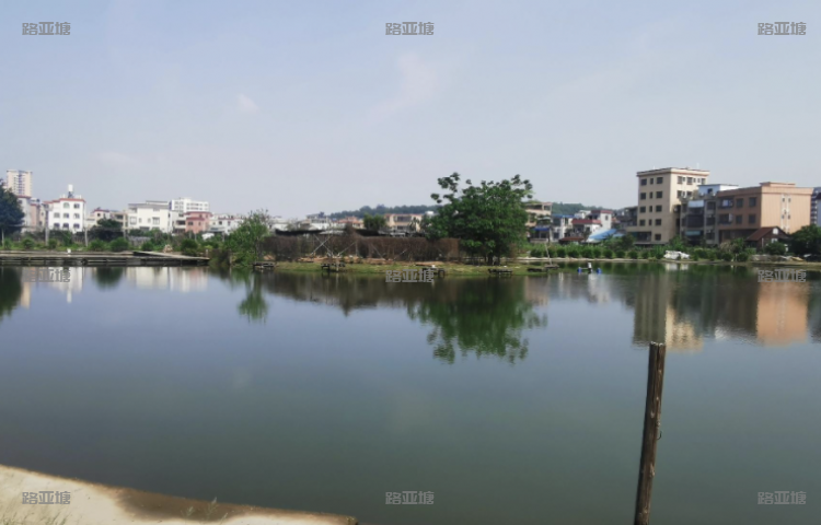 番禺莲花山孤鹰海钓场