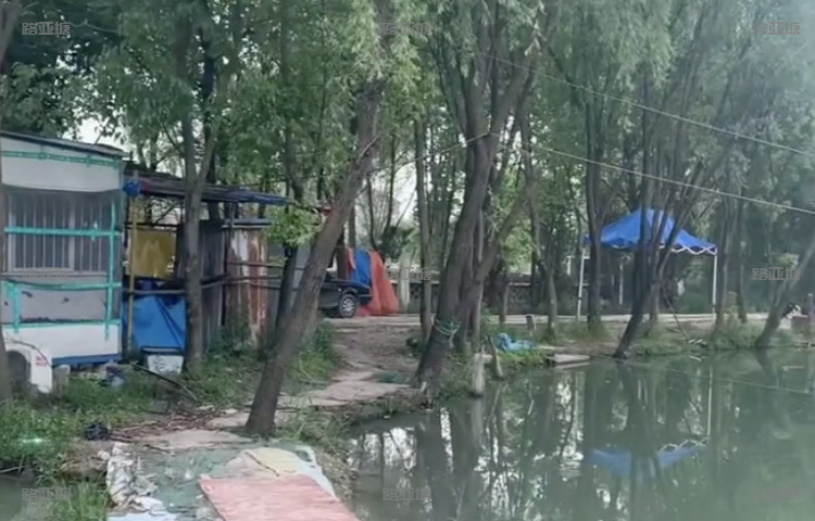 杭州新雨林路亚俱乐部