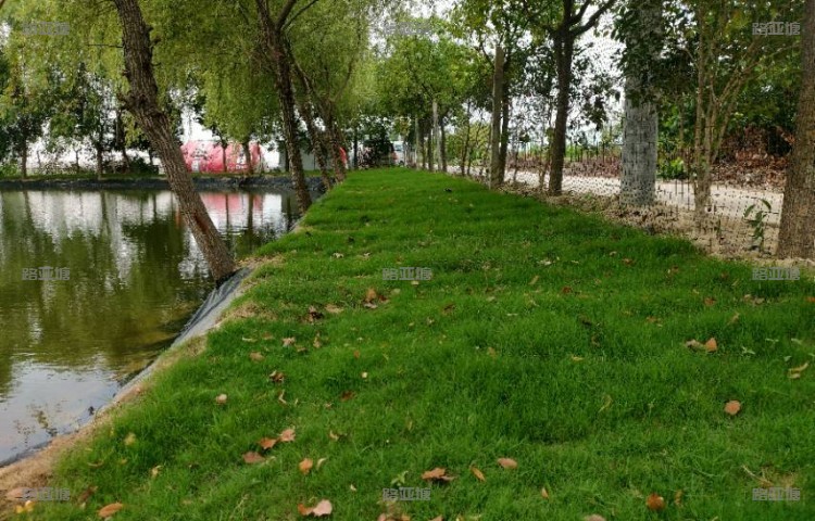 合肥鱼生有你路亚基地