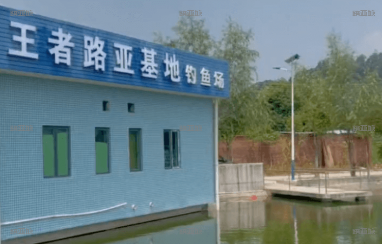 东莞王者路亚基地