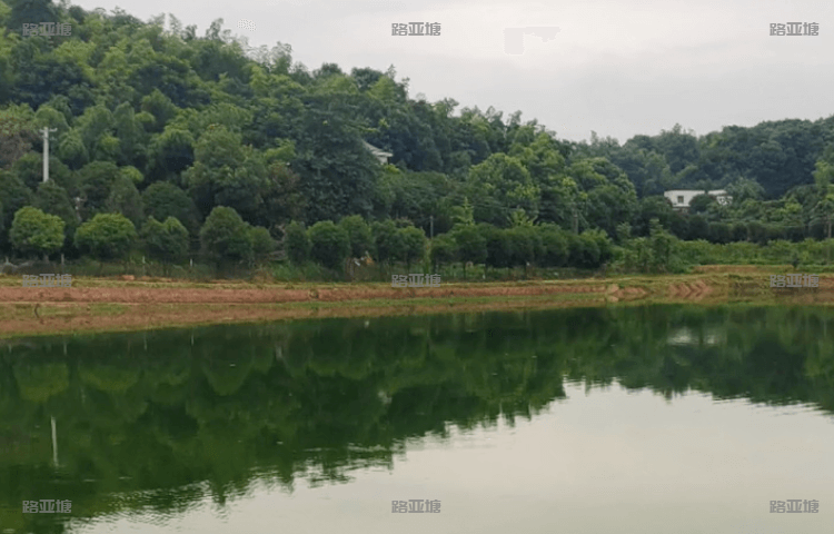 长沙熙禾众乐路亚基地