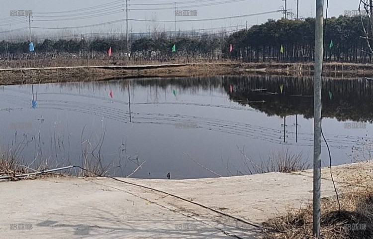 宿迁市项王路亚基地