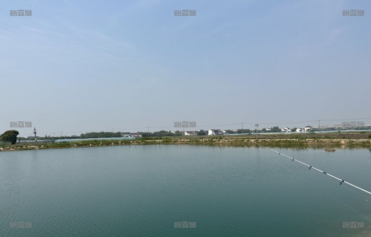 上海天晴路亚