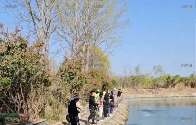 郑州解忧路亚